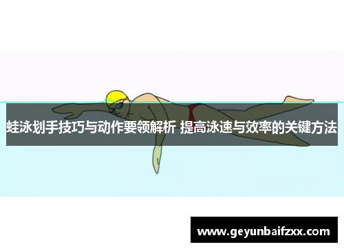 蛙泳划手技巧与动作要领解析 提高泳速与效率的关键方法